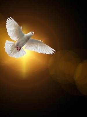 Za ścianą –&nbsp;recytacja